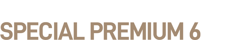 모든것이 바로앞에 모두가 부러워할 가치 special 프리미엄6